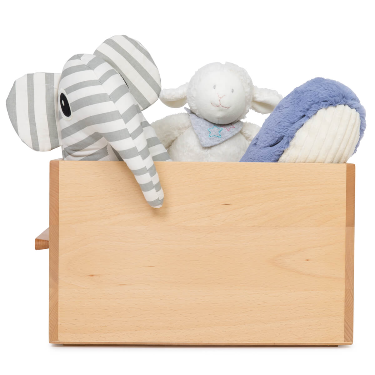 Boîte de rangement NADO finition hêtre